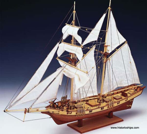 Albatross
