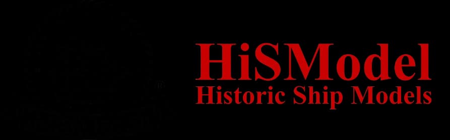 HiSModel logo