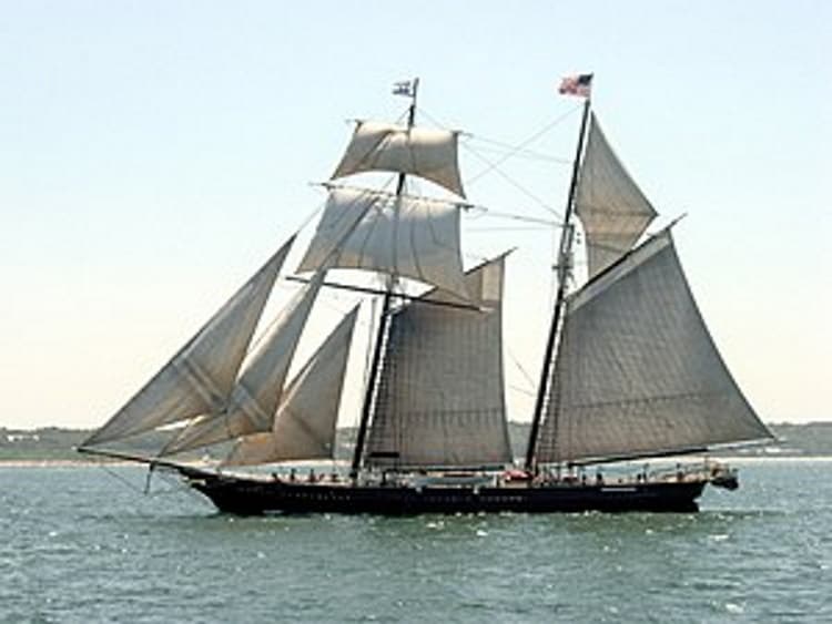 Albatross