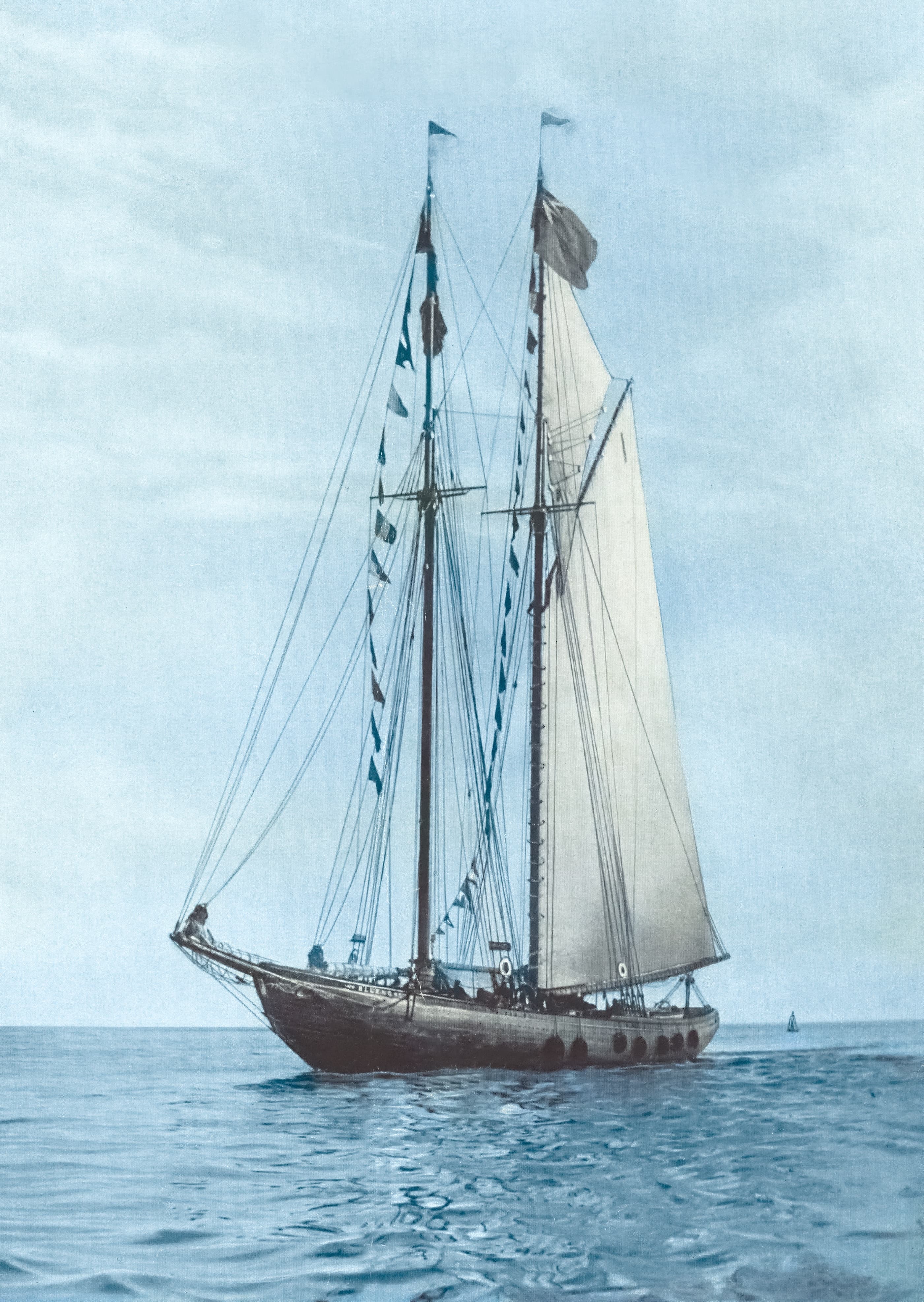 Bluenose