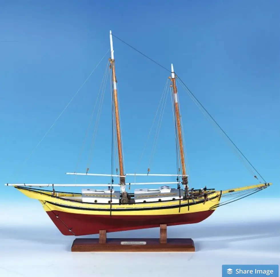 Maine Pinky (Generic)